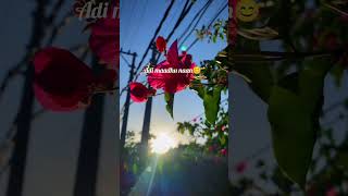 Beautiful place Love song 🌹Best video 🦋 vjsiddhuvlogs 💗 ttfvasan 🤍trending [upl. by Stinson]