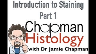 3 Min Histology Intro To Staining 1 [upl. by Nwotna]