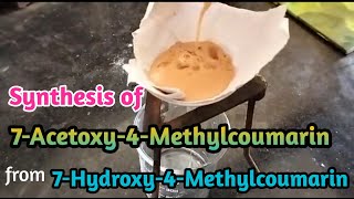 Synthesis of 7Acetoxy4Methylcoumarin from 7Hydroxy4Methylcoumarin [upl. by Eimiaj34]