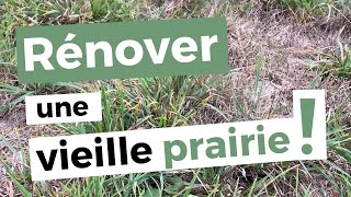 5 conseils pour rénover sa vieille prairie sans chimie [upl. by Tenej195]