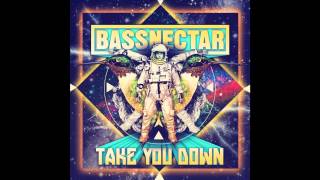 Bassnectar  Colorstorm [upl. by Acirne290]