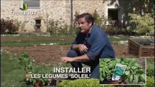 Calendrier du jardinier mai  que faire au jardin ou sur la terrasse  Truffaut [upl. by Trab420]