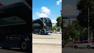 Volvo 9800 ETN Turistar volvobus autobuses viajeros youtubeshorts [upl. by Arretahs329]