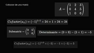 Resolución de Determinantes por Cofactores [upl. by Haisi]