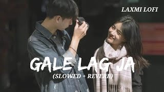 Gale Lag Ja Lofi Slowed  Reverb Akshay Kumar LAXMILOFI91 [upl. by Uba]