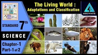 The Living World  Adaptations amp Classification  Std 7  Science  Chapter 1  Part 12 [upl. by Ralina]