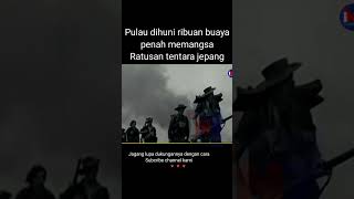 Rawa mengerikan di pulau ramree Myanmar di huni ribuan buaya misteri [upl. by Ing209]