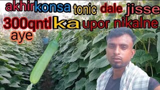 The Best Kheera Tonic under 35 se 40 days khira kheera [upl. by Adnulahs]