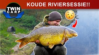 Karpervissen  SOLO SUCCES Franse RIVIER [upl. by Brew]