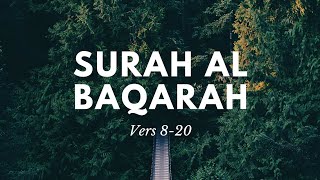 Surah Al Baqarah vers 820 Recitation with Urdu Translation [upl. by Fortunio682]