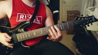 Vulvodynia  Praenuntius Descends Guitar Cover [upl. by Enomor]