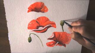 Démo aquarelle les coquelicots watercolor tutorial [upl. by Primalia]