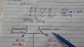 Hepatitis B serological markers with super easy mnemonic [upl. by Ateval]