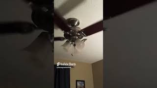 Ceiling fan wobbling pt15 shorts [upl. by Annice961]