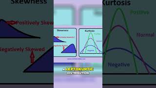 Kurtosis and Skewness  13 [upl. by Ecyar461]