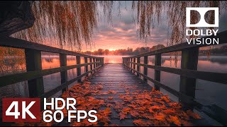 A Journey to the RAW BEAUTY of Nature in 4K HDR 60fps Dolby Vision [upl. by Inah]