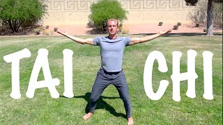 Learn Tai Chi Online [upl. by Heintz]