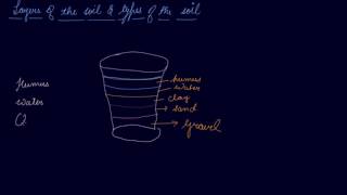 Layers of the Soil amp Types of the Soil  Class 7 Chemistry Soil [upl. by Swee]