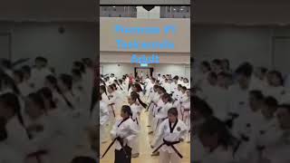 poomsae 1 taekwondo taekwondomartialarts taekook taekwondokicks [upl. by Atrebla]