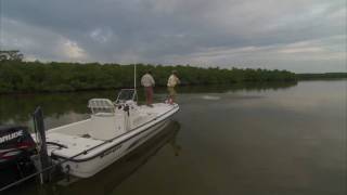 Everglades Backcountry Fishing for Tarpon with DOA BFL Lure [upl. by Nilson932]