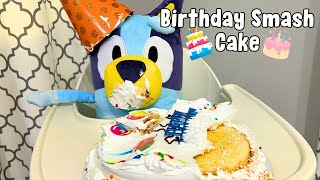 Baby Bluey Birthday Smash Cake and Muddy Mess  Baby Bluey Plush Birthday Surprise [upl. by Akenaj]