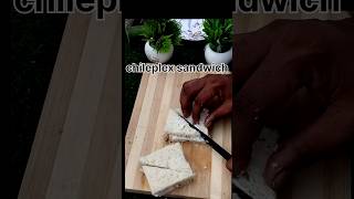 Chilli flakes sandwich newRecipe shorts sandwich food recipe Rajuchef cooking [upl. by Standley]