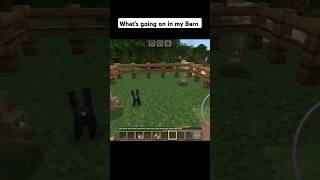 Whats going on in my Barn minecraft shorts [upl. by Ahseiyk]