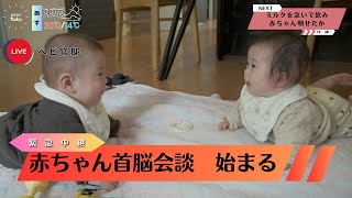 【赤ちゃん首脳会談】赤ちゃん目線SUB）NEWS Baby 新着情報を速報でお届け【赤ちゃん動画 】 [upl. by Cardew]