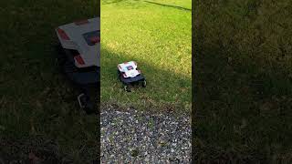 Ambrogio Twenty ZR robot lawn mower  no perimeter wire required [upl. by Beckett]