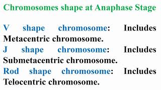 Meaning of Chromosomes Sizes and Shapes [upl. by Phelan]