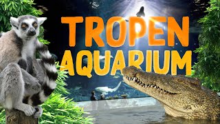 TropenAquarium Hagenbeck Hamburg  Zoo Eindruck [upl. by Llabmik]