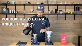 Pourover Methods That Extract Unique Flavors  Intelligentsia Coffee [upl. by Yelnek]