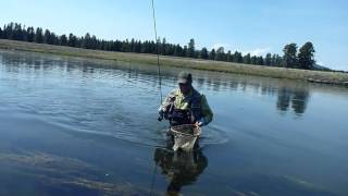 quotFly fishing in USAquot épisode 3  la mythique Henrys Fork [upl. by Krystle319]