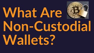 NonCustodial Wallet What Does It Really Mean [upl. by Riddle654]