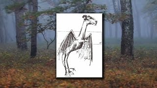 History of a Legend Mrs Leeds and The Jersey Devil [upl. by Rehtnug]