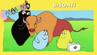 Barbapapà EP35  Bisonti  EPISODIO COMPLETO italiano [upl. by Llednor]