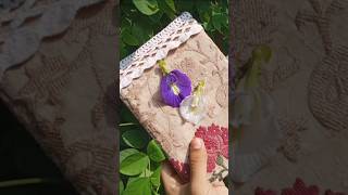 Diy handmade diary viralvideo shorts raisasdiary diy handmade [upl. by Ameerak]