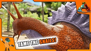 TAMING ACHATINA ARMY FOR ALL THE CEMENTING PASTE  ARK Crystal Isles DLC  EP9 [upl. by Aara]