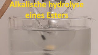 Alkalische Hydrolyse von Methylacetat [upl. by Adlig597]