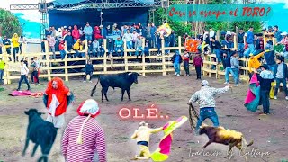 Toros de mi PUEBLO ECUADOR  El RupAngo Tv [upl. by Enylorac]