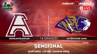 MÁXIMO AVANCE EN VIVO AUTENTICOS TIGRES vs AGUILAS BLANCAS [upl. by Nnylasor732]