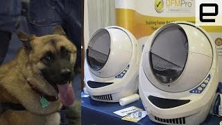 Best pet tech of CES 2016 [upl. by Eleanora]