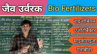 Bio Fertilizers जैव‌ उर्वरक। राइजोबियम एजोटोबैक्टर माइकोराइजा एनाबीना। [upl. by Orlantha280]