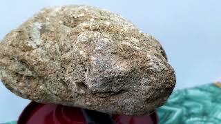 Meteorite Weathered Unclassified For Sale Contact Directly or WhatsApp 639101732894 For Window Test [upl. by Issac]