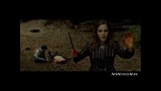 Deathly Hallows Part 1  Extended Scene  Forest after the Ministry FANMADE [upl. by Ingra]