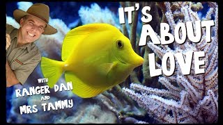 FISH SONG FOR KIDS  Under the Sea Songs  Animal Songs  Kids Songs  Creation Connection [upl. by Marys]