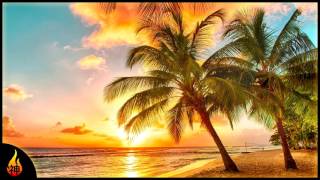 Island Reggae Music  Upbeat Tropics  Tropical Island Beach Music [upl. by Assirt]