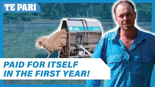 SAVE Money with the Te Pari Sheep Jetter  Aaron Granger [upl. by Eenal761]