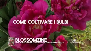 Come coltivare i bulbi primaverili [upl. by Heinrik636]