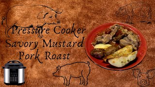 Pressure Cooker Savory Mustard Pork Roast [upl. by Yrovi]